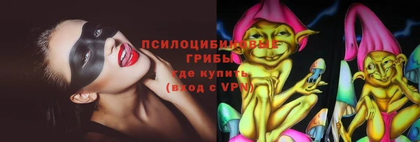 амф Алексеевка
