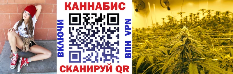 Конопля планчик  Островной 